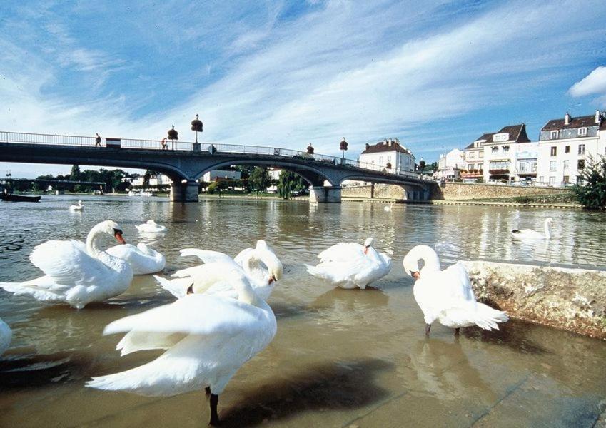 Notre Cocon Au Coeur De Ville Lagny-sur-Marne Екстер'єр фото